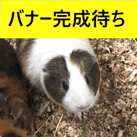 2025年11月ウッドグレインⅡ特価