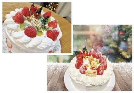 今年のクリスマスケーキはお手軽手作りケーキを楽しみませんか？　♪コメント投稿でフレッセイポイントゲット♪