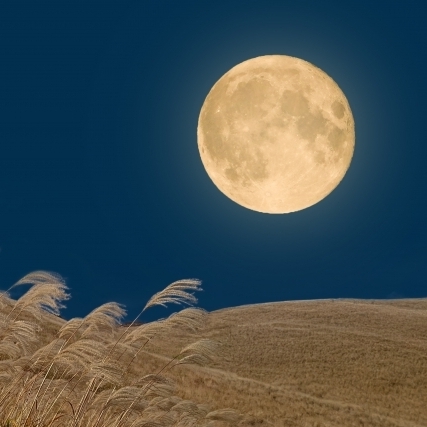 10月6日は十五夜🌕　欠かせない物（食べ物）は？　♪コメント投稿でフレッセイポイントゲット♪