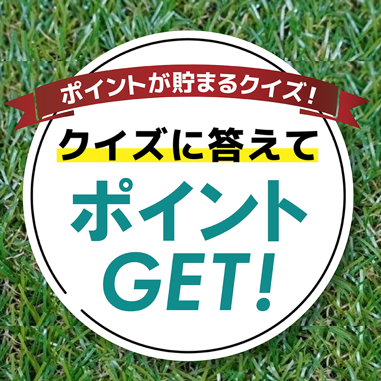 【ポイントが貯まる】スイカクイズ