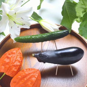 お盆のごちそうといえば？家族が集まる日に食べたい定番料理　♪コメント投稿でフレッセイポイントゲット♪