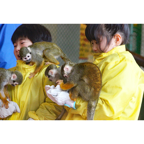 那須ワールドモンキーパーク　ふれあい体験満喫プラン：入園券大人2名様+子供1名様+園内体験券付　3名様