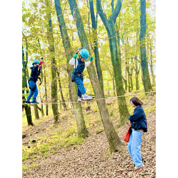 那須の森の空中アスレチック『ＮＯＺＡＲＵ』　子ザルコース　大人１名様