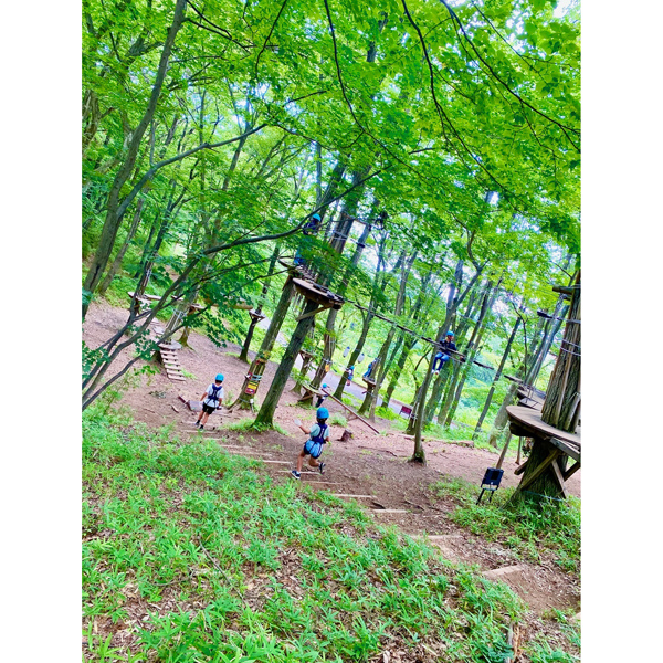 那須の森の空中アスレチック『ＮＯＺＡＲＵ』　子ザルコース　大人１名様