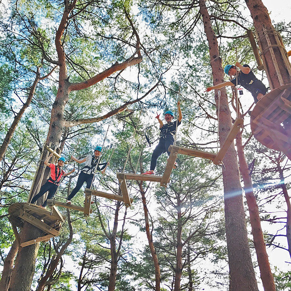 那須の森の空中アスレチック『ＮＯＺＡＲＵ』　ノザルコース　大人1名様