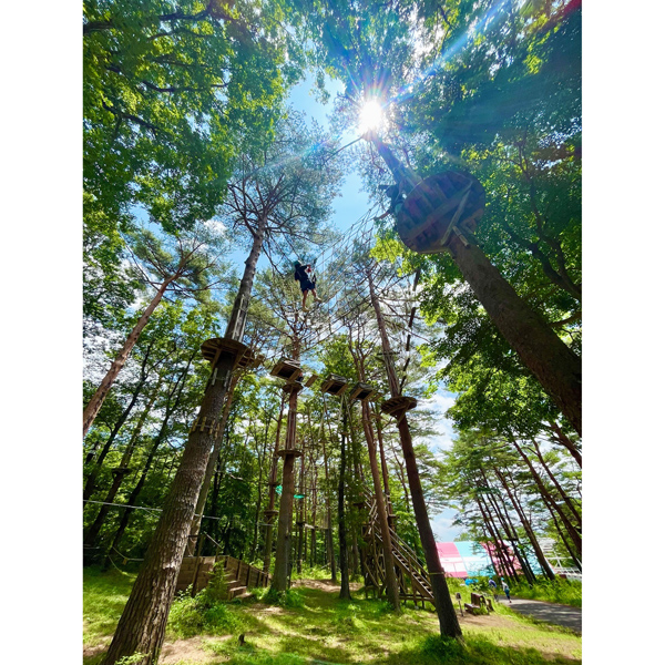 那須の森の空中アスレチック『NOZARU』 ノザルコース 大人1名様