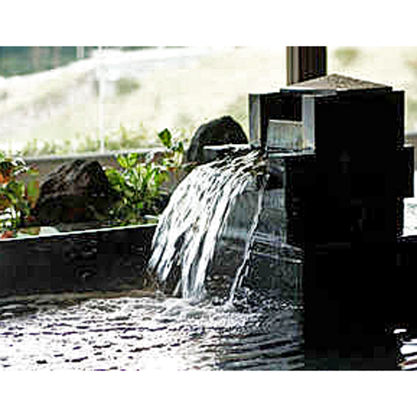 NASPAニューオータニ　１泊２名様　夕朝食付き　ツイン